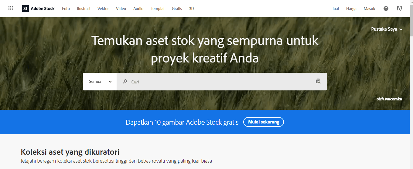 Memanfaatkan Potensi Fotografi Anda: Panduan Lengkap Situs Jual Foto Online Termudah