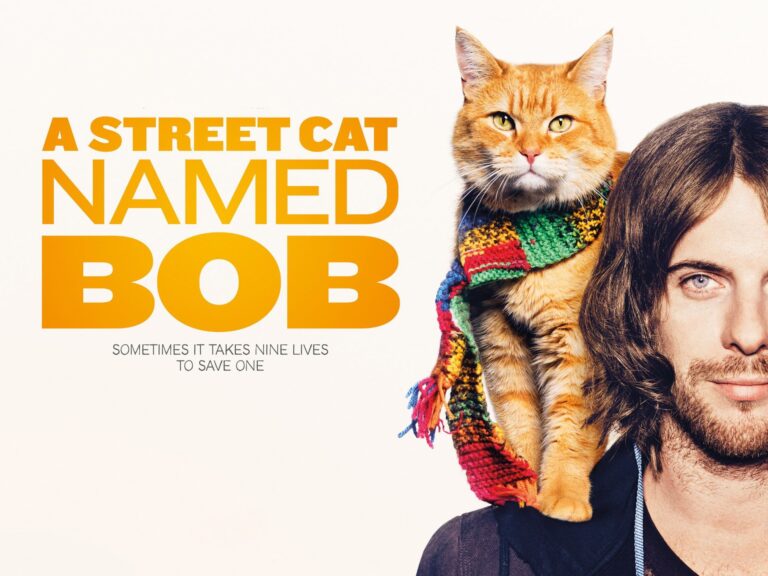 sinopsis a street cat named bob (2016)
