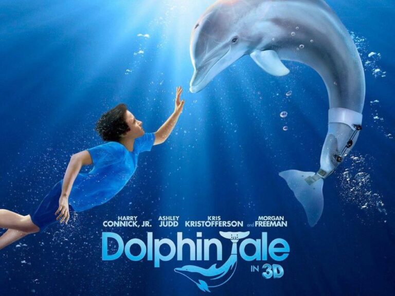 Film dolphin tale (2011)