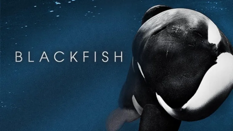 blackfish documentary 2013