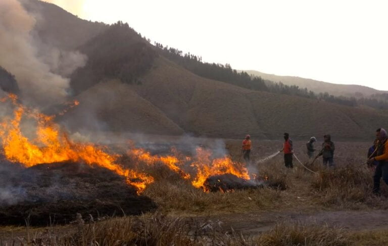 kebakaran lahan savana di gunung bromo