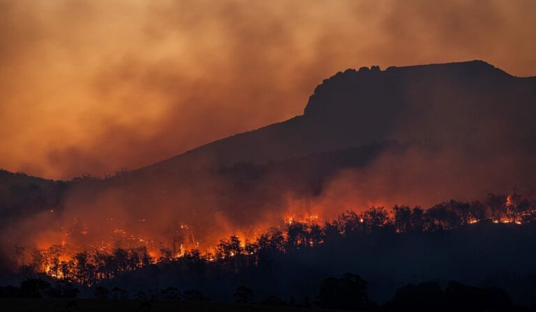 kebakaran hutan mulai marak di Jatim pada puncak musim kemarau 2023