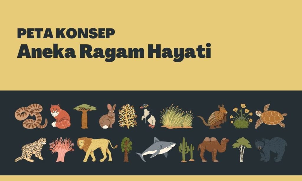 10 Contoh Peta Konsep Kreatif Simple Dan Menarik