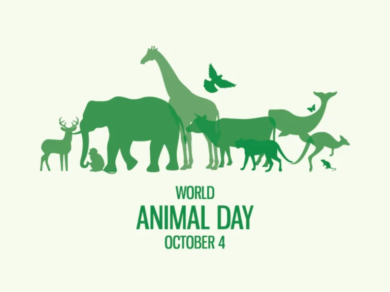 world-animal-day