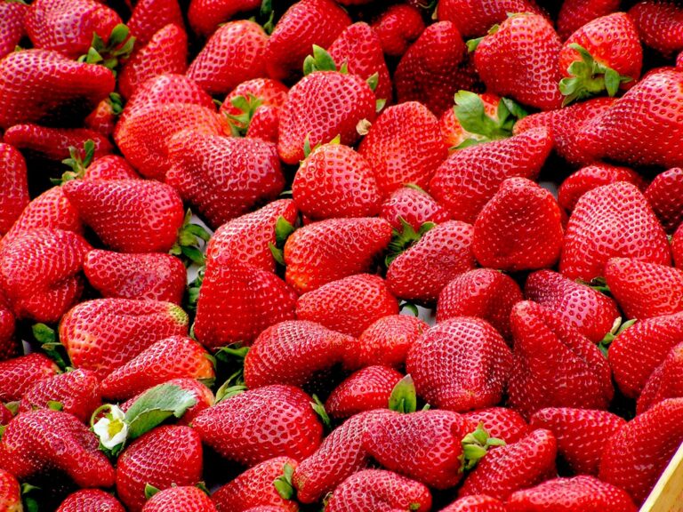 apa itu strawberry generation