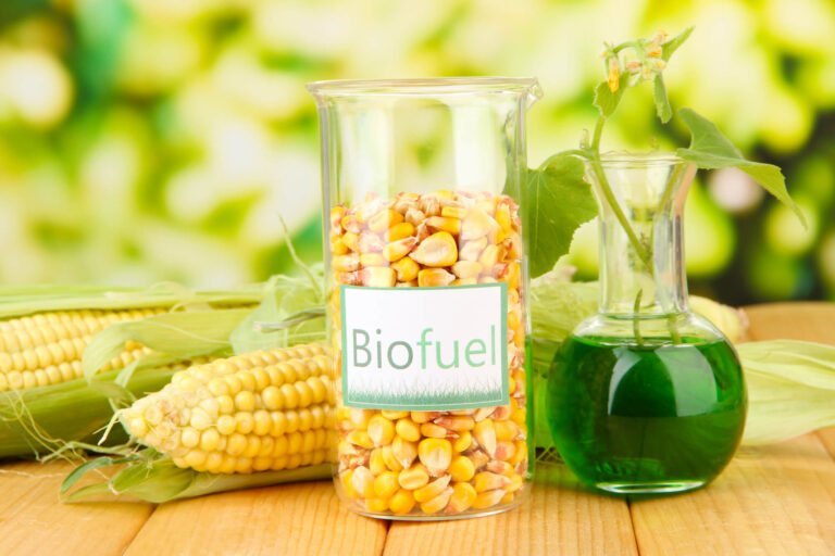 Contoh Biofuel