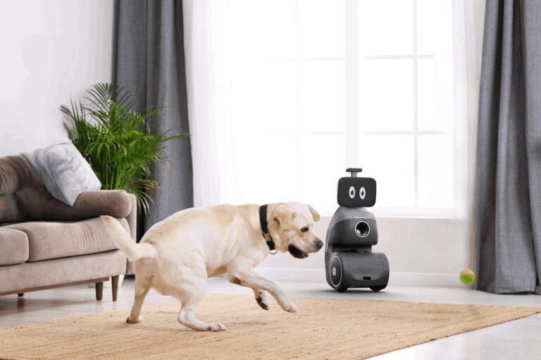 Oro Ogmen Robotics, Robot AI Penjaga Anjing Peliharaan!