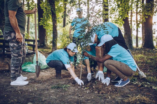 Kualifikasi yang Dibutuhkan Sustainable Job, Cek untuk Perbesar Potensi Diterima - Environmentalist Kualifikasi yang Dibutuhkan Sustainable Job, Cek untuk Perbesar Potensi Diterima - Environmentalist