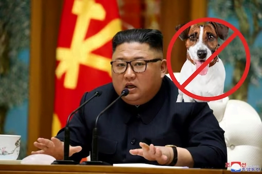 6 Fakta dan Rumor Tergila Kim Jong Un - image 33 6 Fakta dan Rumor Tergila Kim Jong Un - image 33