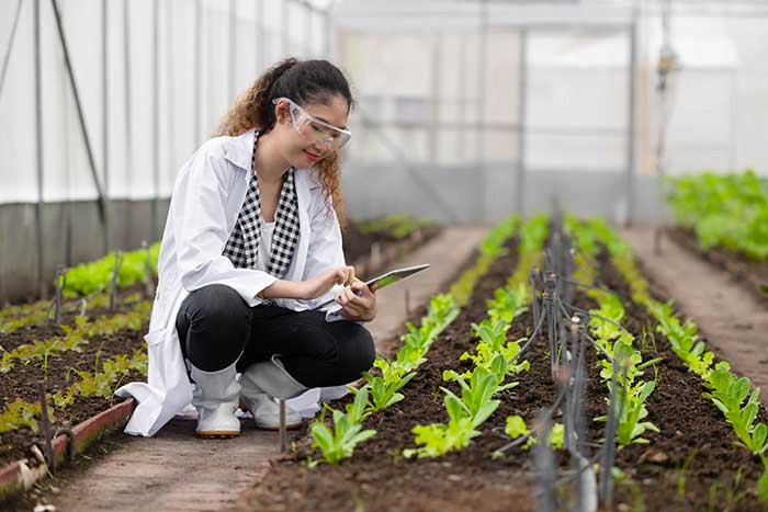 6 Jenis Sustainable Job Demi Masa Depan Kehidupan Yang Lebih Baik   Image 46 