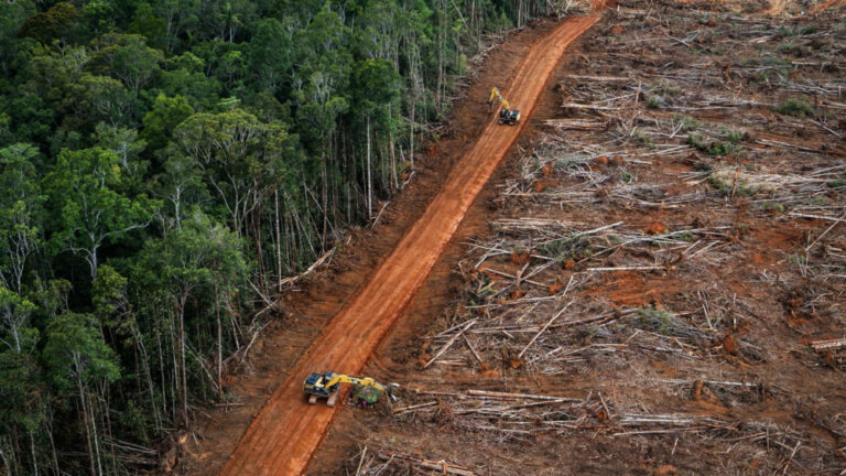 Apa itu Fragmentasi Habitat