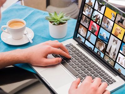 5 Website AI Gratis Untuk Membuat Gambar, Semua Bisa Jadi Seniman 5 Website AI Gratis Untuk Membuat Gambar, Semua Bisa Jadi Seniman