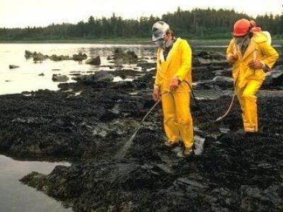 Apa itu Bioremediasi