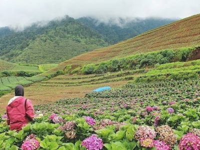 tempat wisata alam di batu
