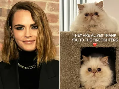 Cara-Delevingne-Cats-Survived-House-Fire-031524-a6e78d6a32434347b2f285902a603677 kucing Cara Delevingne