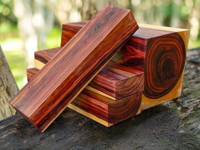 Kayu Termahal di Dunia Kayu Termahal di Dunia