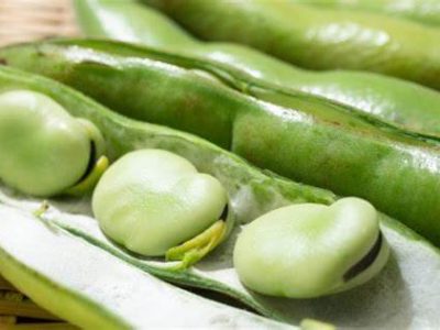 Kepercayaan Aneh Orang Yunani Kuno tentang Kacang Kepercayaan Aneh Orang Yunani Kuno tentang Kacang