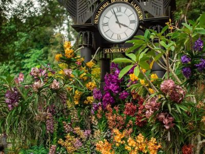 Singapore garden festival