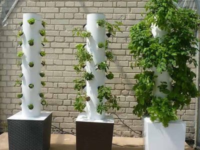 Vertikal Hidroponik, Solusi Bertani Atasi Masalah Lahan Sempit Warga Urban!