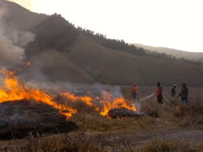 kebakaran lahan savana di gunung bromo