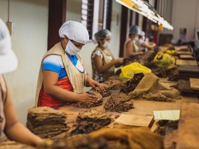 5 jenis tenaga kerja